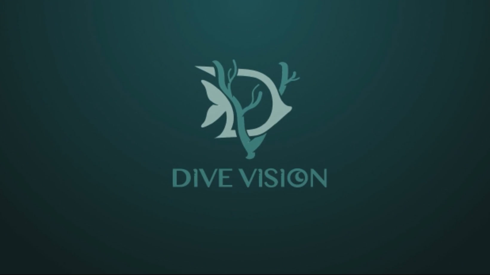 DivVision